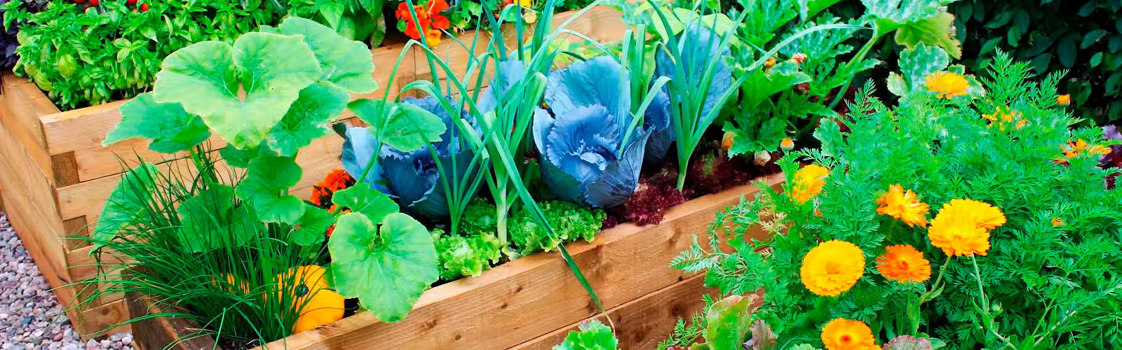 Get a Free $100 Seed Bundle on Your Greenhouse Purchase