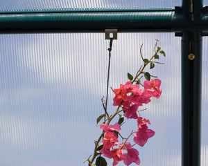 Anchoring Clips / Plant Hanger Hooks for Rion Greenhouses | Palram-Canopia Rion