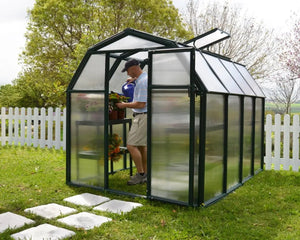 EcoGrow ~6ft. x 8ft Greenhouse Twin-Wall Panels Green Frame | Rion by Palram-Canopia Rion
