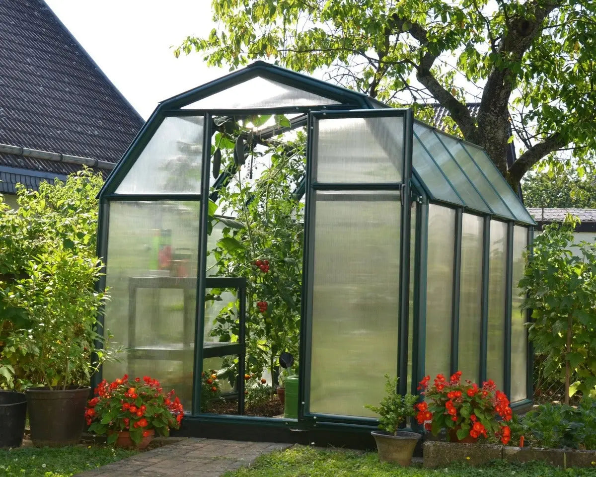 EcoGrow ~6ft. x 8ft Greenhouse Twin-Wall Panels Green Frame | Rion by Palram-Canopia 6' Wide EcoGrow Canopia by Palram   