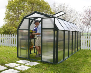 EcoGrow® ~6ft x 12ft Greenhouse Twin-Wall Panels Green Frame | Rion by Palram-Canopia Rion
