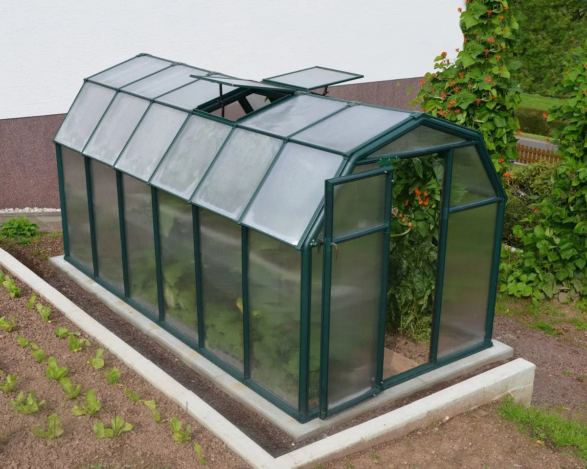EcoGrow® ~6ft x 12ft Greenhouse Twin-Wall Panels Green Frame | Rion by Palram-Canopia 6' Wide EcoGrow Canopia by Palram   