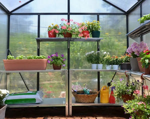 Glory® 8 ft. x 20 ft. Greenhouse with 10mm TwinWall Glazing | Palram-Canopia Canopia by Palram