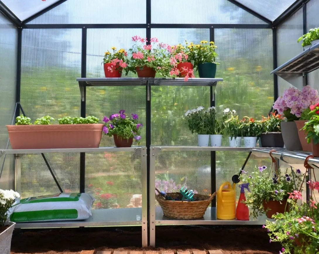 Glory® 8 ft. x 8 ft. Greenhouse with 10mm TwinWall Glazing | Palram-Canopia