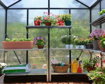 Glory® 8 ft. x 8 ft. Greenhouse with 10mm TwinWall Glazing | Palram-Canopia