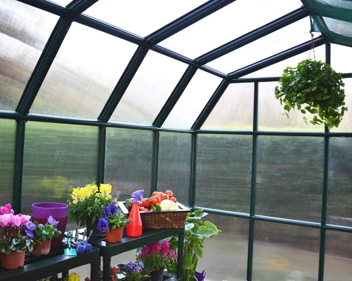 Grand Gardener® ~8 ft. x 16 ft. Greenhouse | Rion by Palram-Canopia 8' Wide Grand Gardener Canopia by Palram   