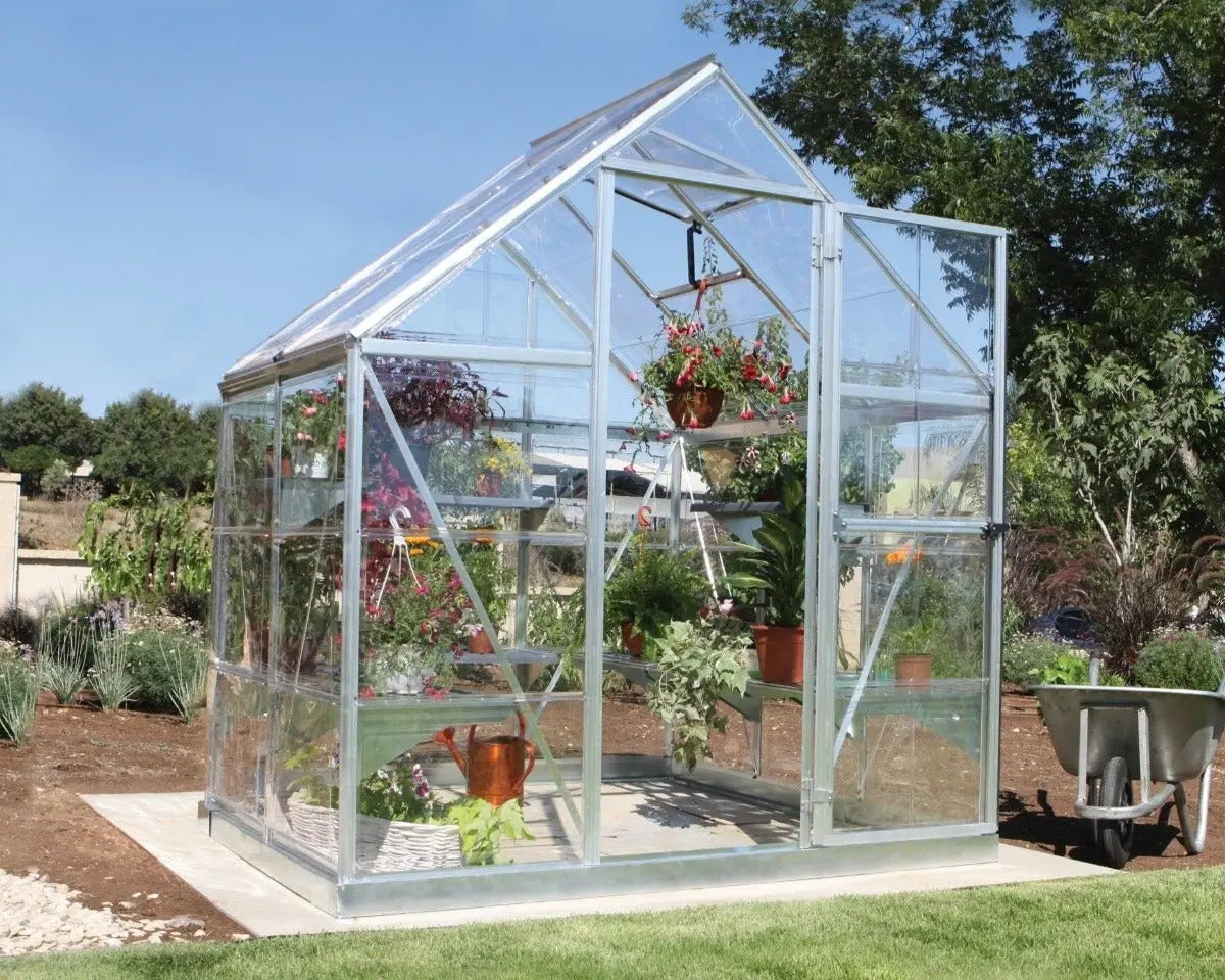 Harmony™ 6 ft. x 4 ft. Greenhouse Clear Panels Silver Frame | Palram-Canopia 6' Wide Harmony Canopia by Palram   