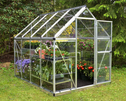 Harmony™ 6 ft. x 8 ft. Greenhouse Clear Panels Silver Frame | Palram-Canopia 6' Wide Harmony Canopia by Palram   