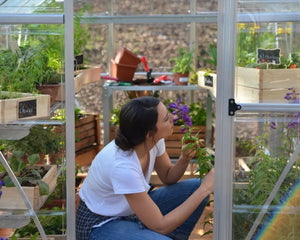 Hybrid 6 ft. x 10 ft. Greenhouse Clear & Twin Wall Silver Frame | Palram-Canopia Canopia by Palram