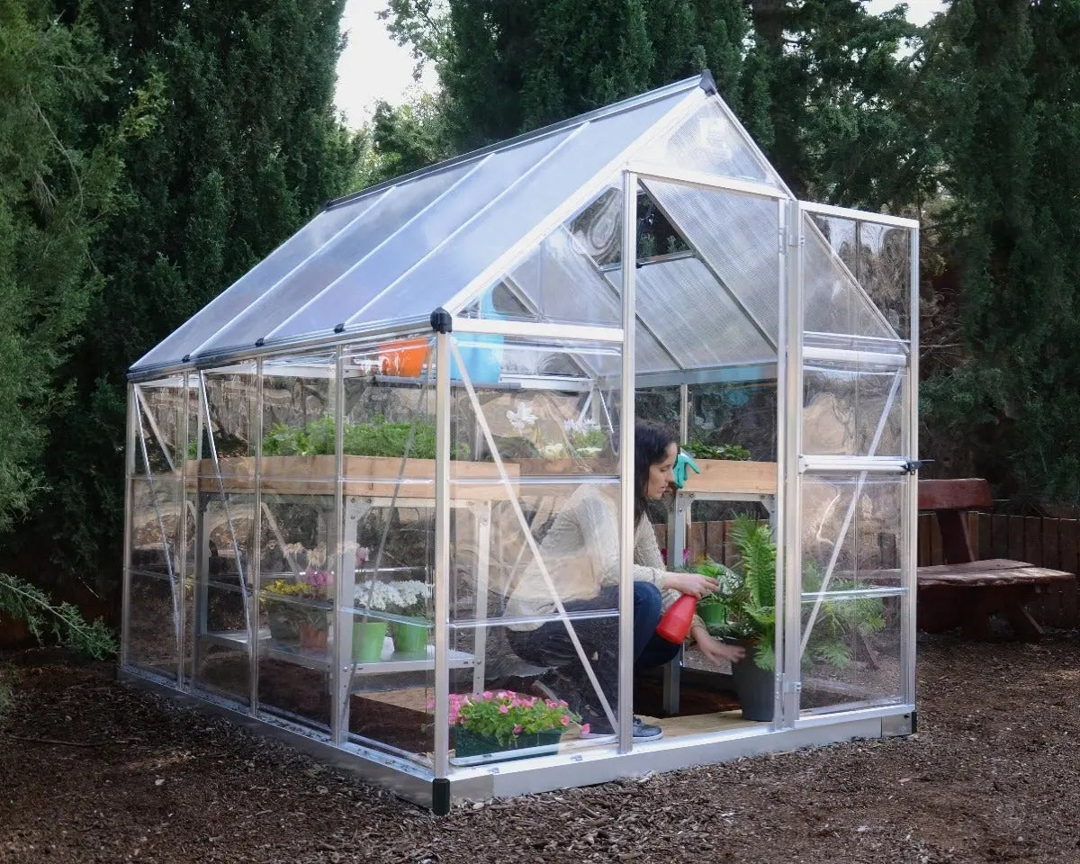 Hybrid™ 6 ft. x 8 ft. Greenhouse Clear & Twin Wall Panels Silver Frame | Palram-Canopia 6' Wide Hybrid Canopia by Palram   