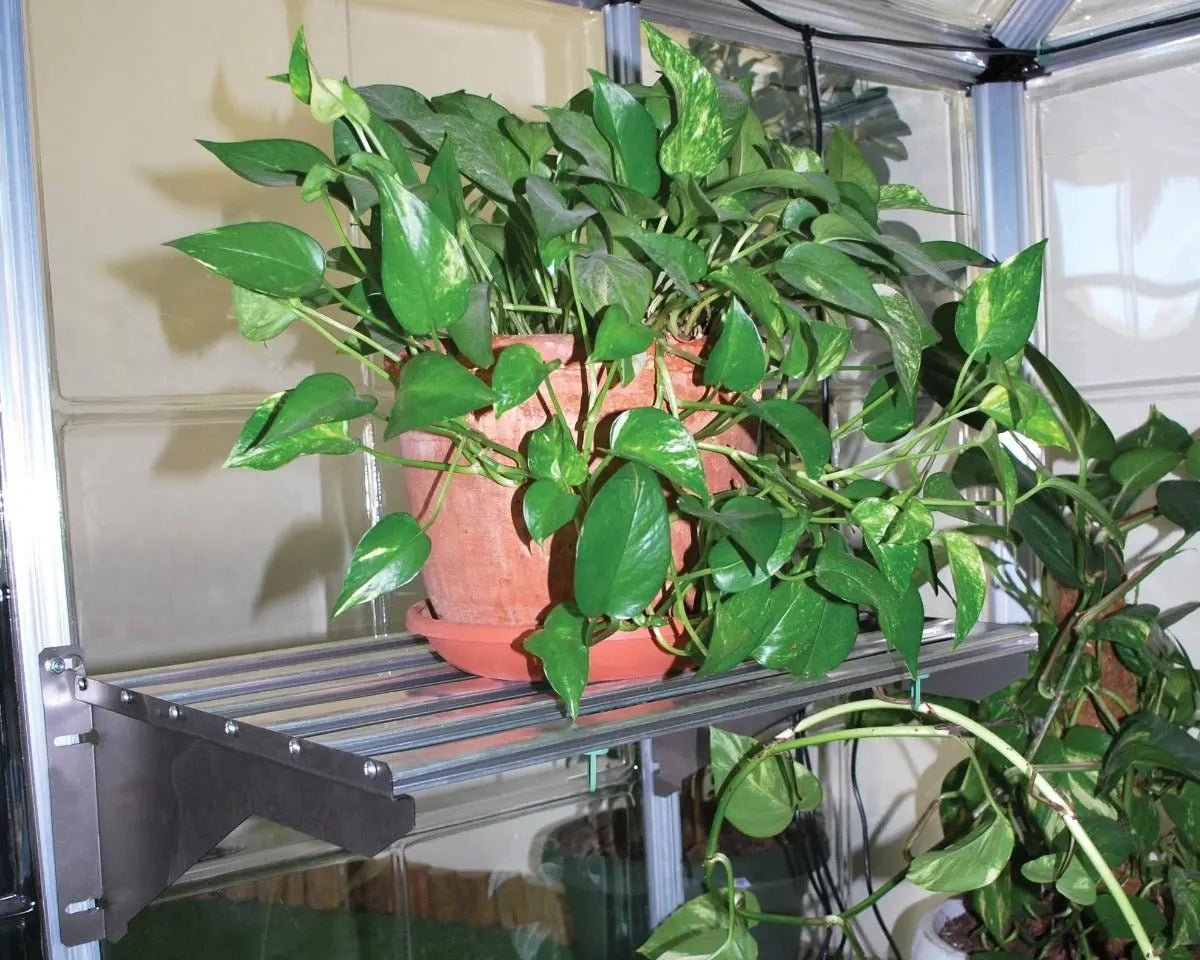 Heavy Duty Metal Shelf Kit | Palram-Canopia Greenhouse Accessories Canopia by Palram   
