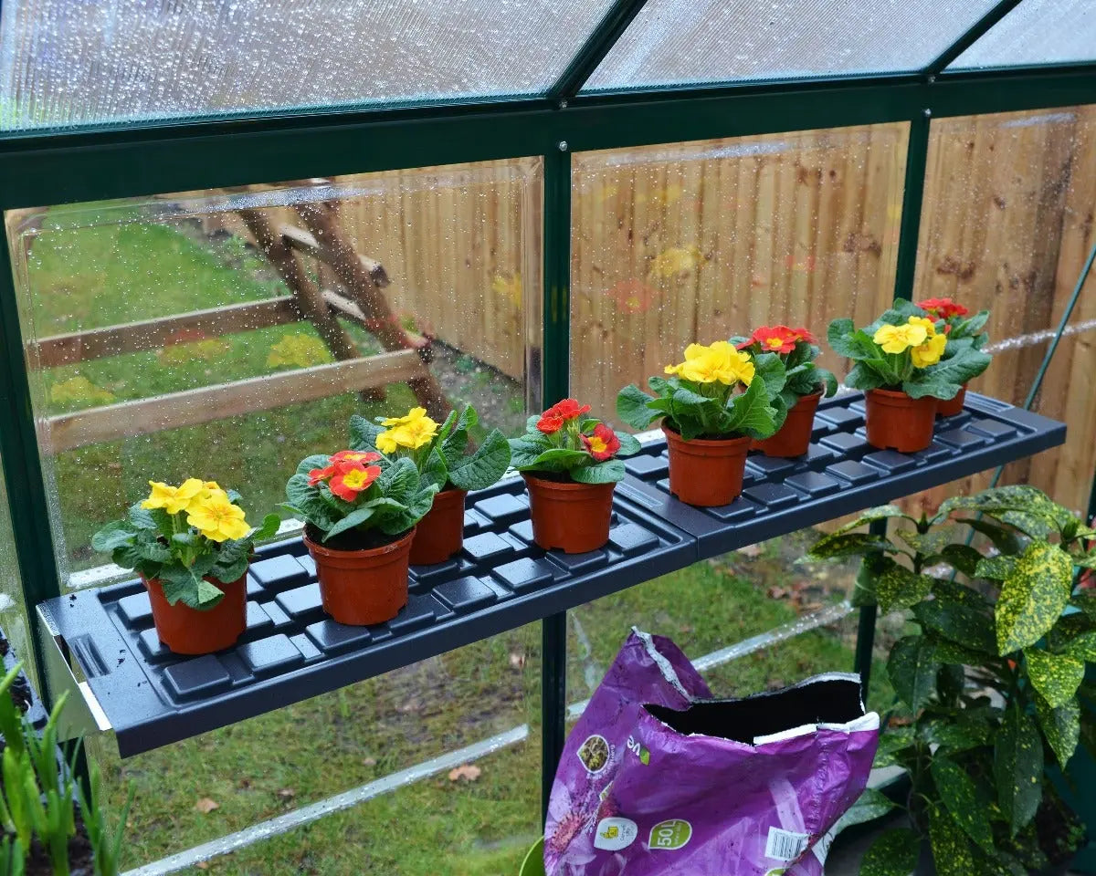 Shelf Kits Mix Bundle 4-Packages | Palram-Canopia Greenhouse Accessories Canopia by Palram   