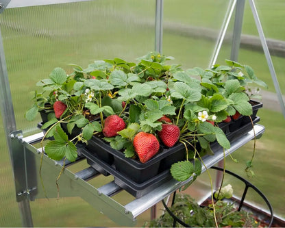 Heavy Duty Metal Shelf Kit Bundle 4-Piece | Palram-Canopia Greenhouse Accessories Canopia by Palram   