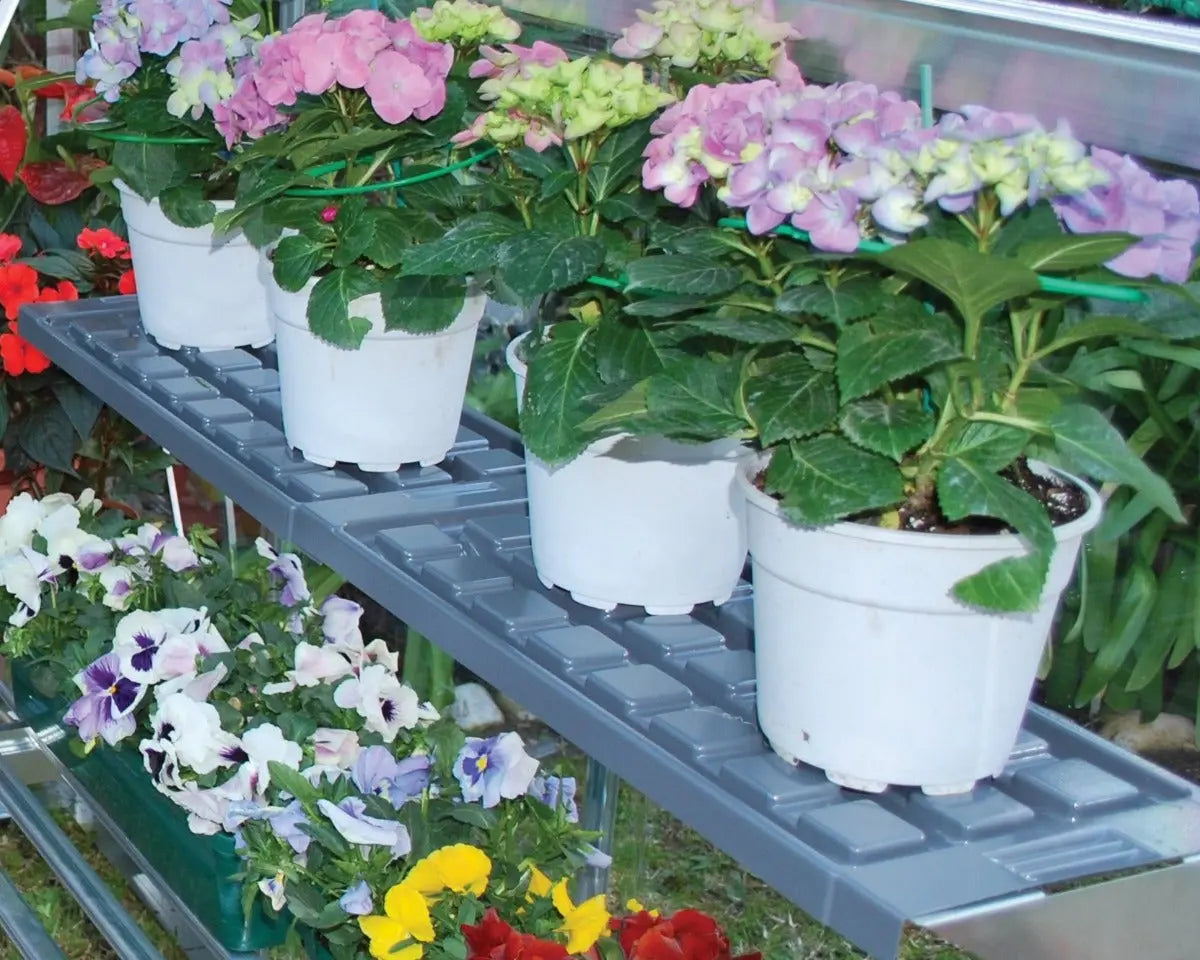 Shelf Kit set of 2 Resin Shelves | Palram-Canopia Greenhouse Accessories Canopia by Palram   
