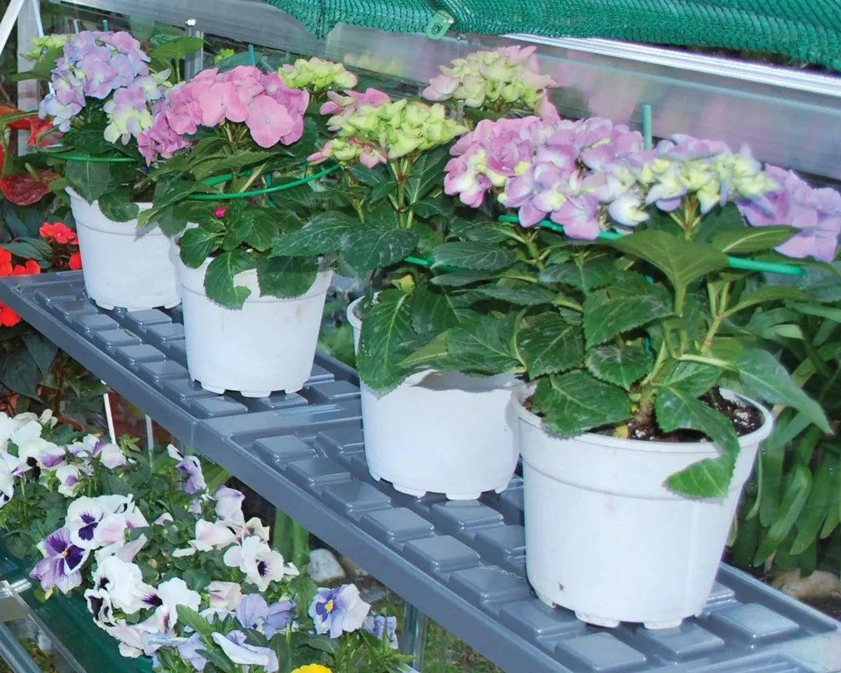 Shelf Kit Bundle 4-Packages set of 8 Resin Shelves | Palram-Canopia Greenhouse Accessories Canopia by Palram   