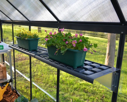 Shelf Kits Mix Bundle 4-Packages | Palram-Canopia Greenhouse Accessories Canopia by Palram   