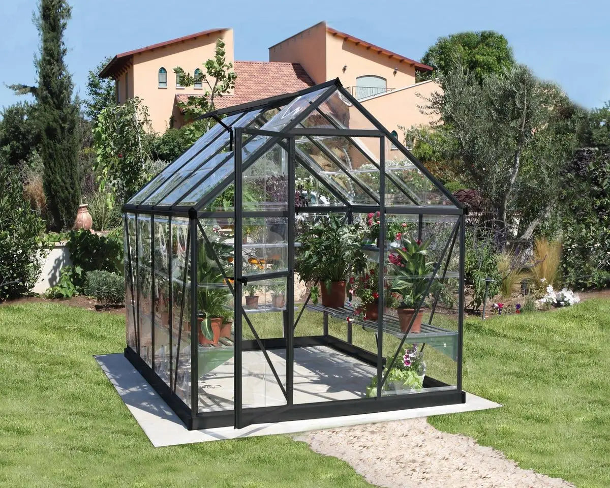 Harmony™ 6 ft. x 8 ft. Greenhouse Clear Panels Grey Frame | Palram-Canopia 6' Wide Harmony Canopia by Palram   