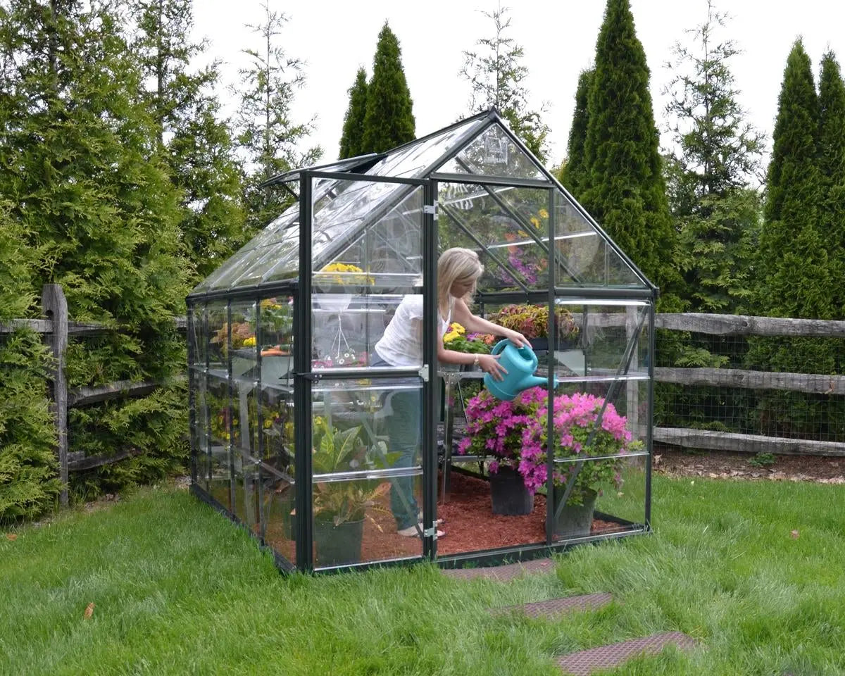 Harmony™ 6 ft. x 8 ft. Greenhouse Clear Panels Grey Frame | Palram-Canopia 6' Wide Harmony Canopia by Palram   