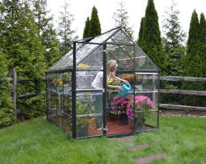 Harmony™ 6 ft. x 8 ft. Greenhouse Clear Panels Grey Frame | Palram-Canopia