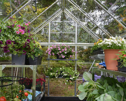 Harmony™ 6 ft. x 8 ft. Greenhouse Clear Panels Silver Frame | Palram-Canopia 6' Wide Harmony Canopia by Palram   