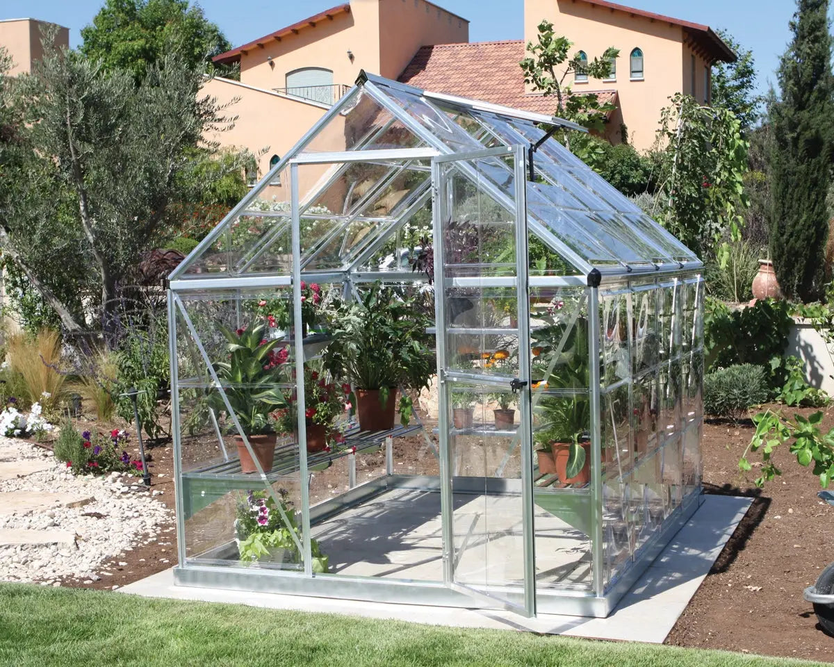 Harmony™ 6 ft. x 8 ft. Greenhouse Clear Panels Silver Frame | Palram-Canopia 6' Wide Harmony Canopia by Palram   