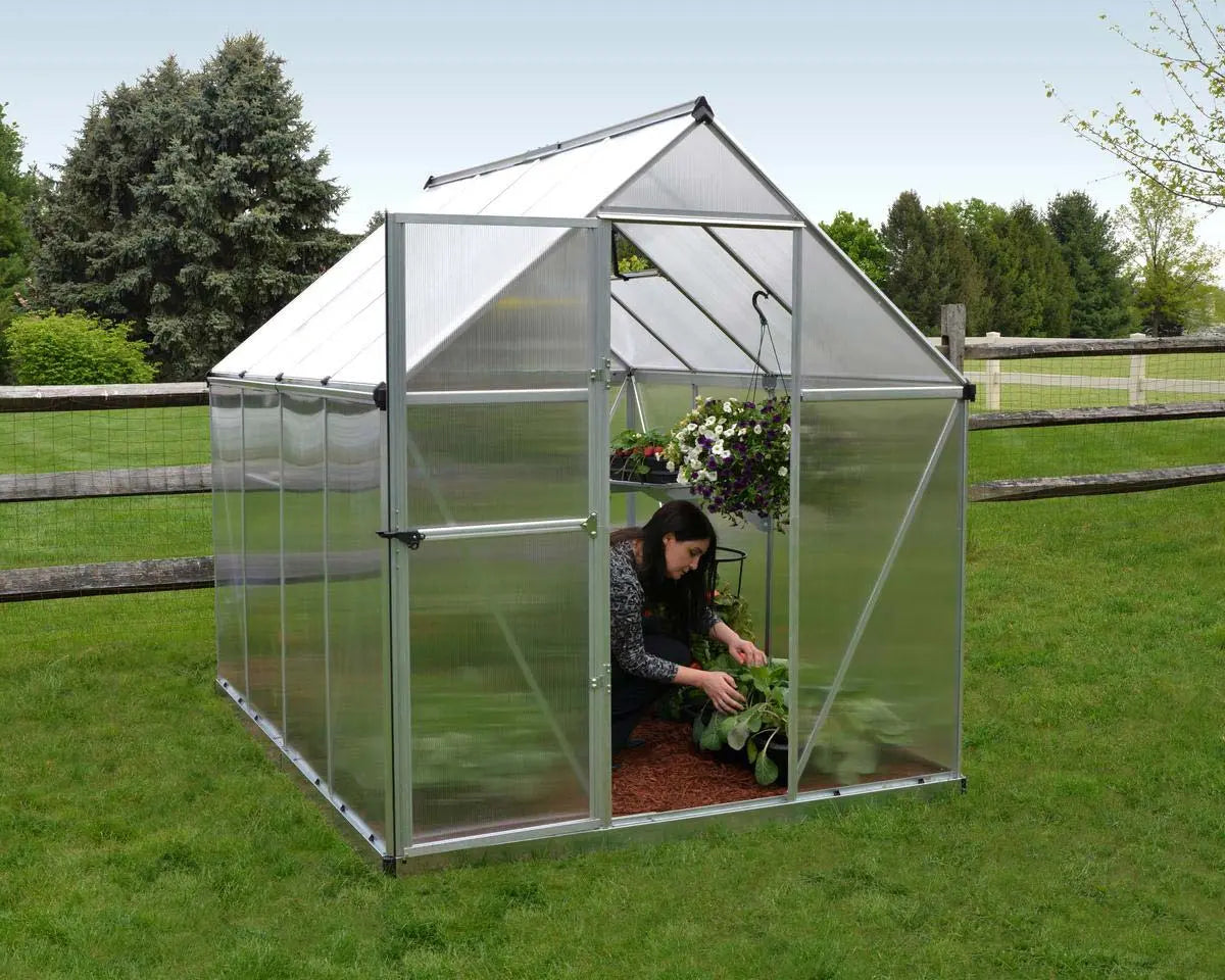 Mythos® 6 ft. x 8 ft. Greenhouse Twin Wall Silver | Palram-Canopia 6' Wide Mythos Canopia by Palram   
