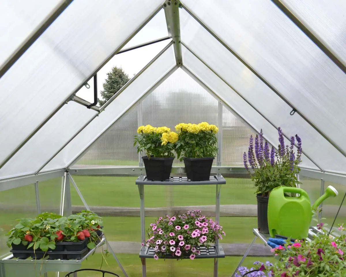 Mythos® 6 ft. x 8 ft. Greenhouse Twin Wall Silver | Palram-Canopia 6' Wide Mythos Canopia by Palram   