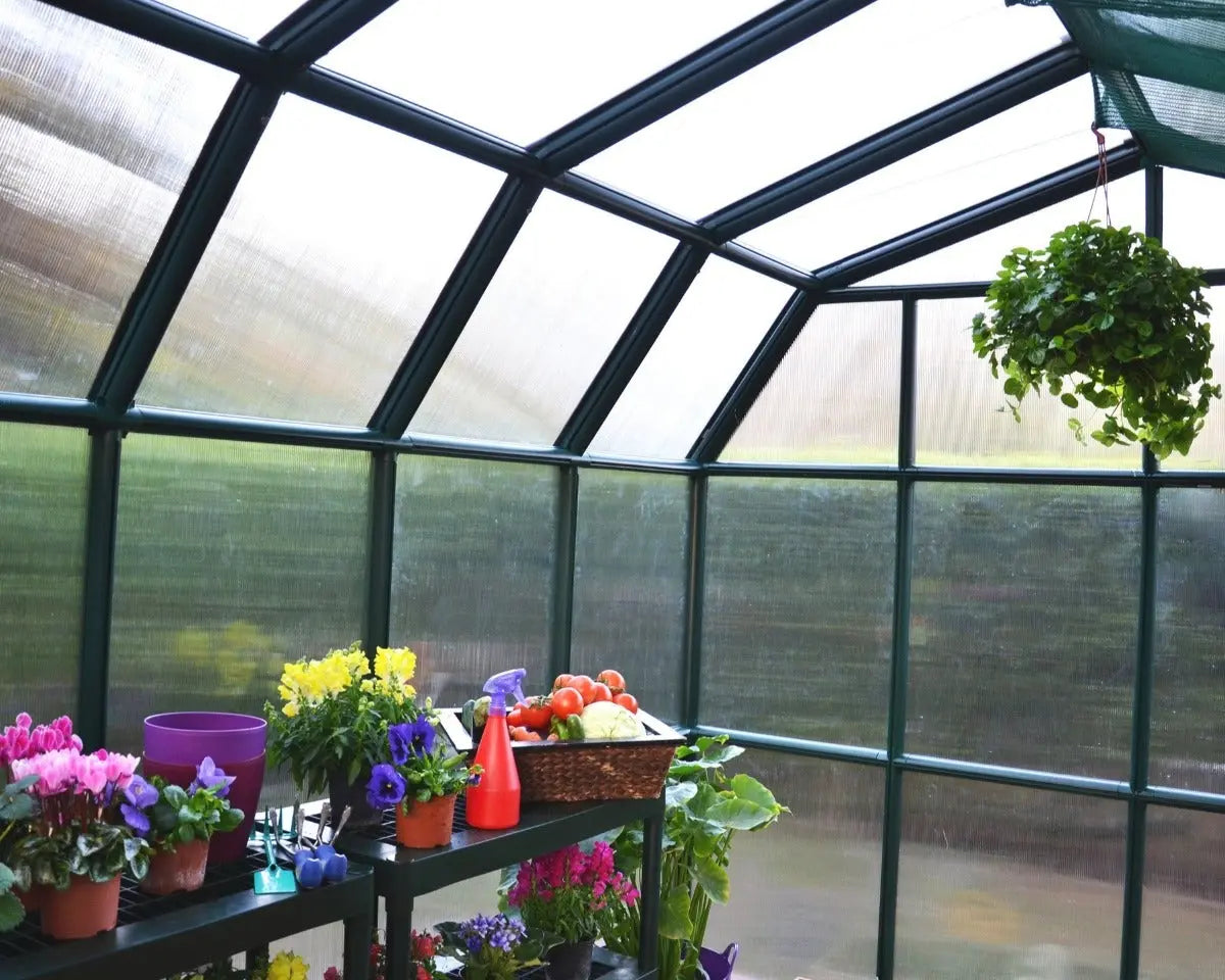 Prestige® ~8 ft. x 20 ft. Twin-wall Panels Greenhouse | Rion by Palram-Canopia 8' Wide Prestige with MOUNTING BASE Canopia by Palram   