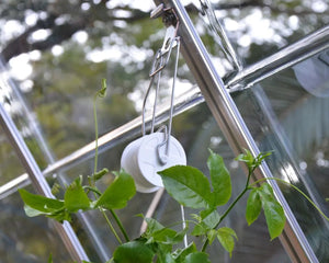 Trellising Kit Pro for Greenhouses | Palram-Canopia Canopia by Palram