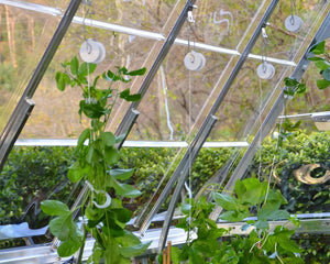 Trellising Kit Pro for Greenhouses | Palram-Canopia Canopia by Palram
