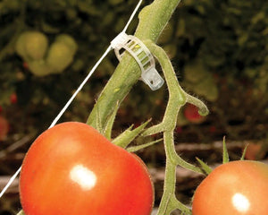 Trellising Kit Pro for Greenhouses | Palram-Canopia Canopia by Palram