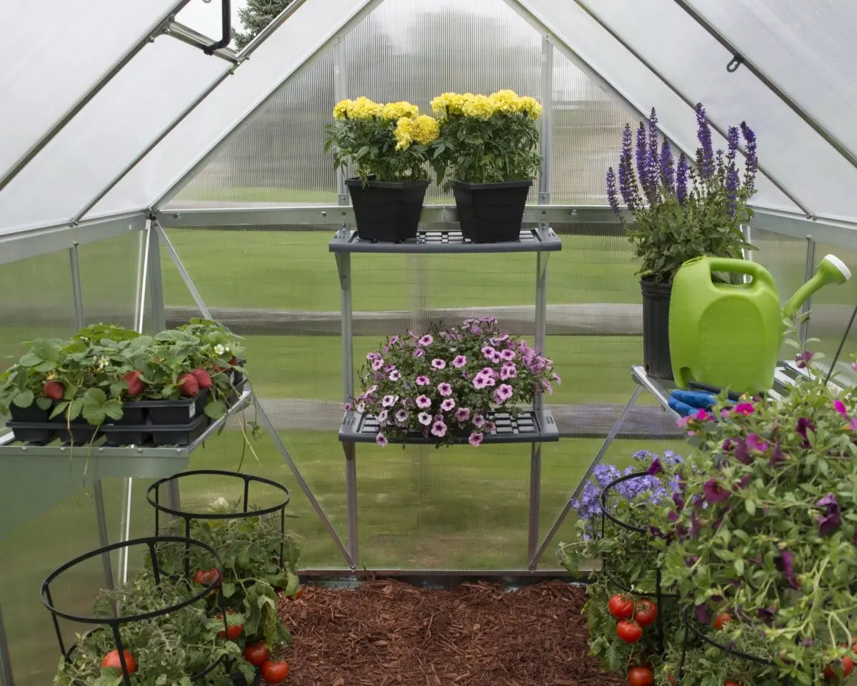 Shelf Kit Bundle 4-Packages set of 8 Resin Shelves | Palram-Canopia Greenhouse Accessories Canopia by Palram   