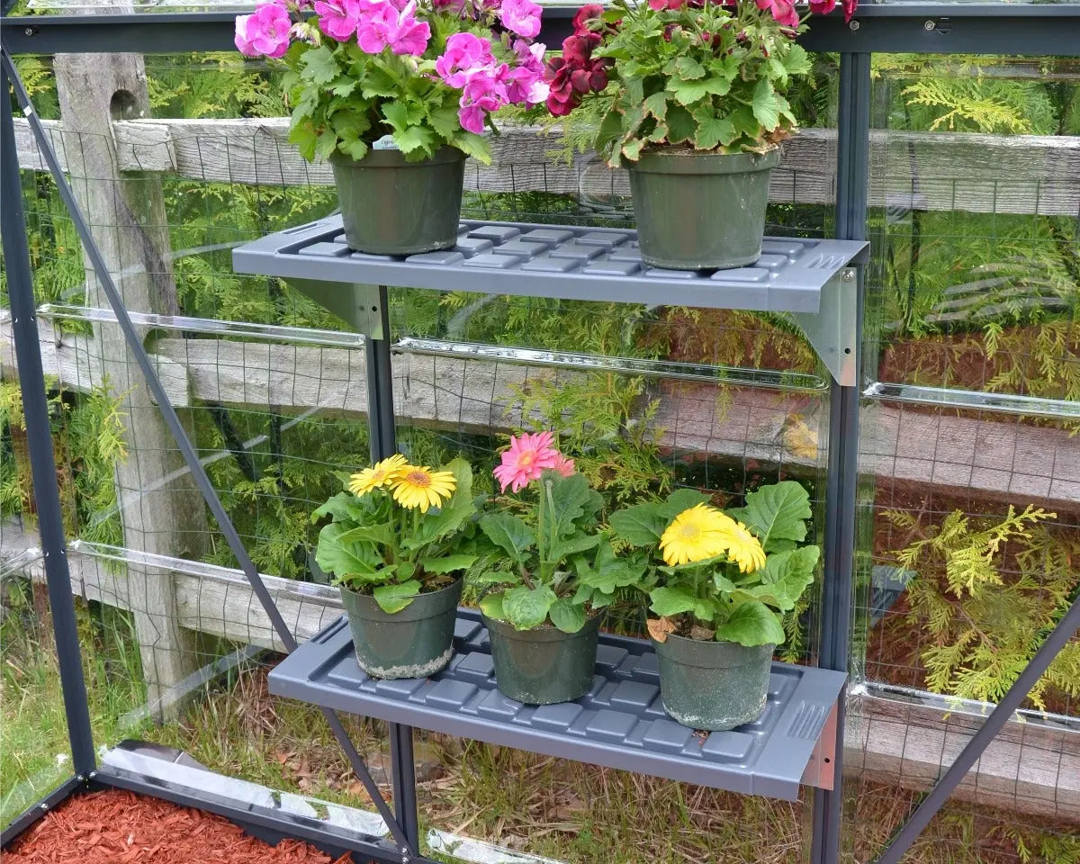 Shelf Kit set of 2 Resin Shelves | Palram-Canopia Greenhouse Accessories Canopia by Palram   