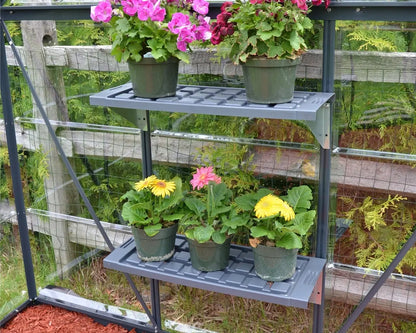 Shelf Kit Bundle 4-Packages set of 8 Resin Shelves | Palram-Canopia Greenhouse Accessories Canopia by Palram   