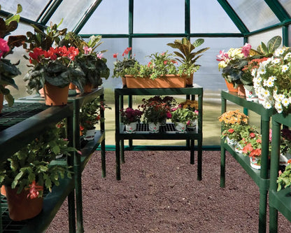 Two Tier Staging Bench for Greenhouses Greenhouse Accessories Canopia by Palram   